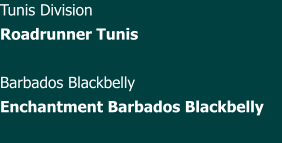 Tunis Division Roadrunner Tunis  Barbados Blackbelly Enchantment Barbados Blackbelly