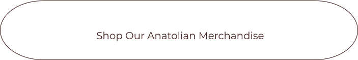 Shop Our Anatolian Merchandise